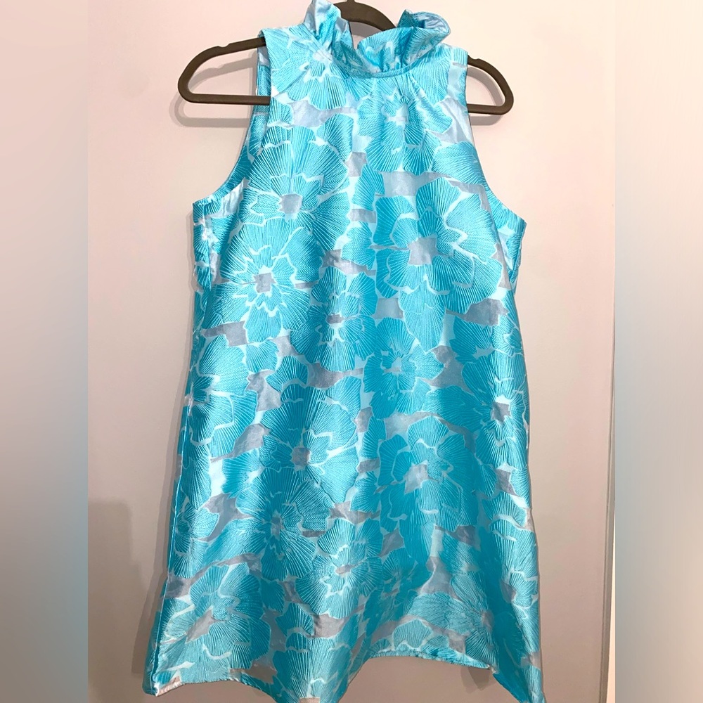 Tuckernuck dress